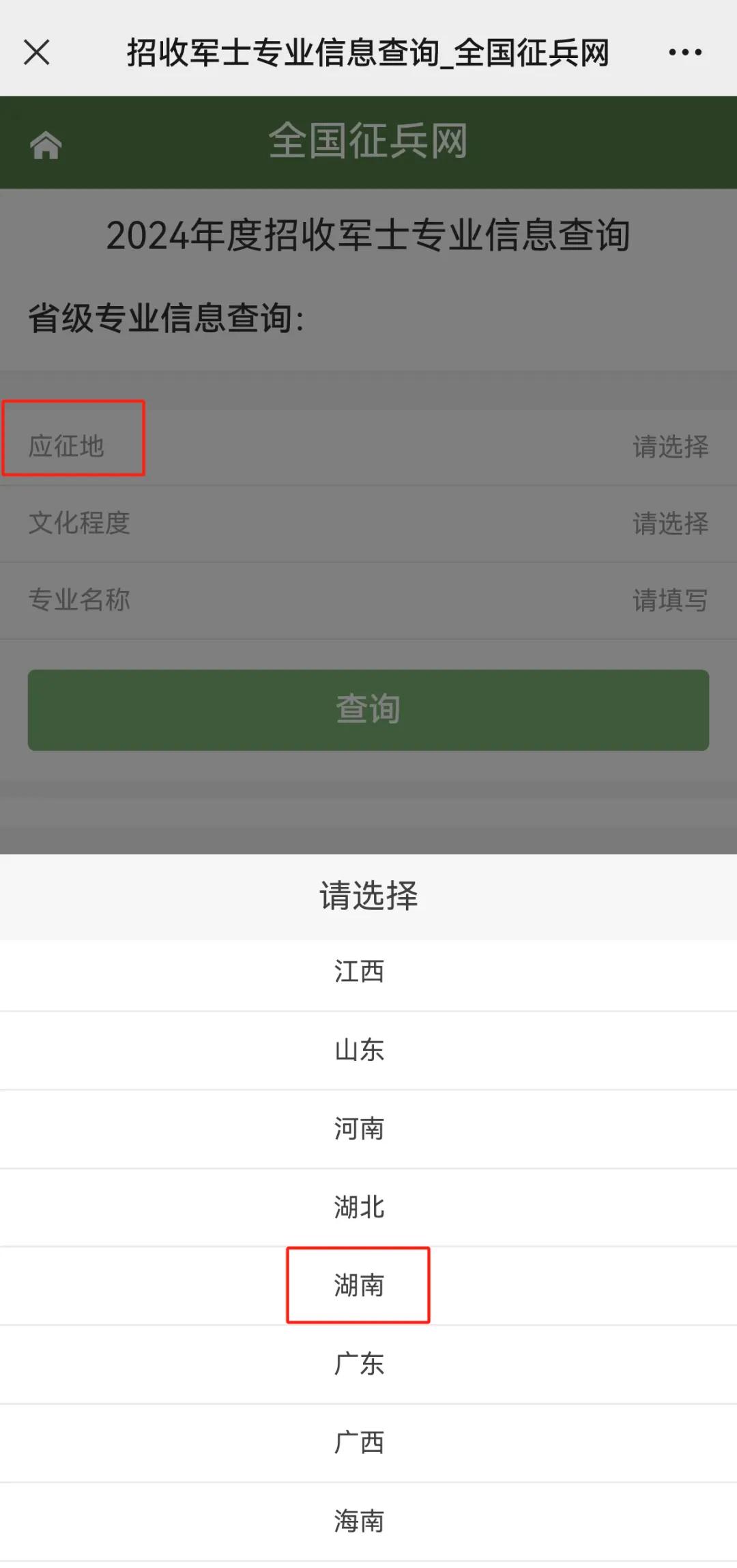 &#20048;&#40060;